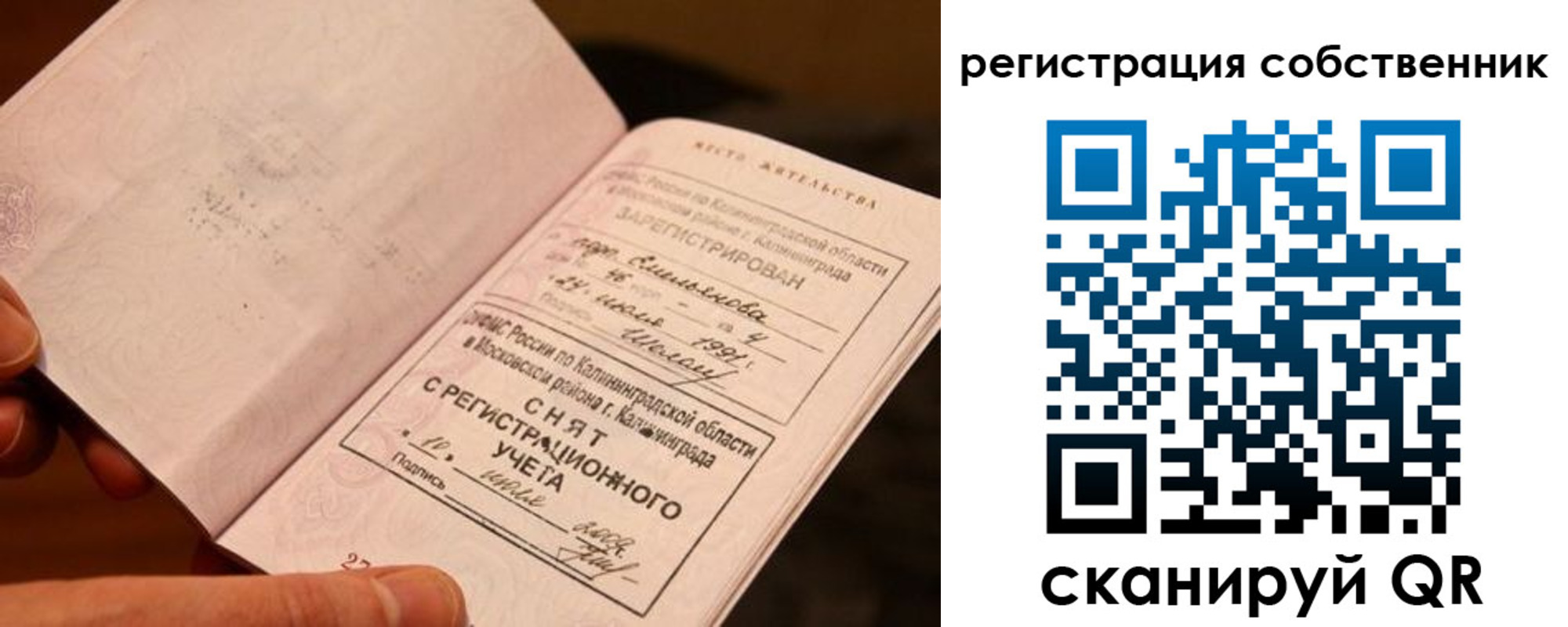 пропишу в квартире в Кольчугино